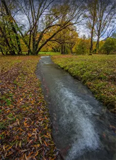 Arrowtown Prints: Arrowtown Autumn