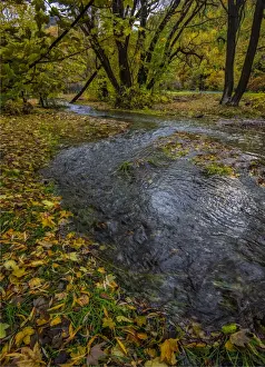 Arrowtown Prints: Arrowtown Autumn colours