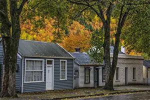 Arrowtown Prints: Arrowtown scenic