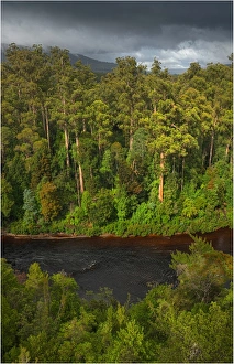 Southern lightscapes australia/arve river forest southern tasmania Southern lightscapes australia/arve river forest southern tasmania