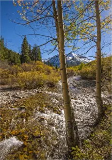 Colorado Prints: Ashcroft, Colorado, south western United States of America