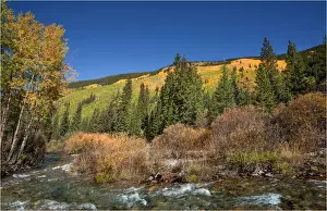 Ashcroft, Colorado, south western United States of America