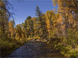 Ashcroft, Colorado, south western United States of America