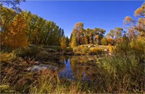 Ashcroft, Colorado, south western United States of America