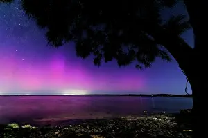 Robbie Goodall Photography Prints: Aurora Australis over Herron Point - Western Australia