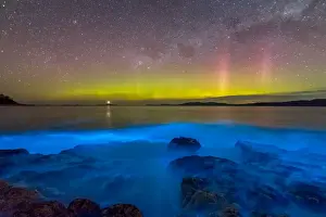 Aurora Australis or Southern Lights in the sky over spectacular blue bioluminescence in the water
