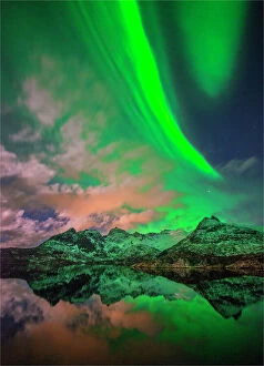 Aurora Borealis Collection: Aurora Borealis at night, Lofoten Peninsular, Norway