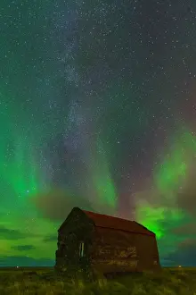 Green Color Prints: Aurora Ray