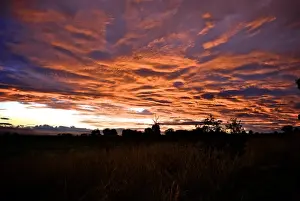Country NSW Prints: Aussie Sunset