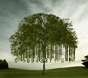 australia, barcode, blowing, carbon neutral, cloud, color image, commerce, computer graphic australia, barcode, blowing, carbon neutral, cloud, color image, commerce, computer graphic