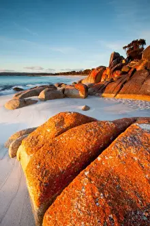 Australia, Bay of Fires, beach, coast, coastal, dawn, Lichen, pristine, Red, rocks