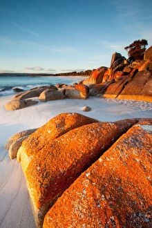 Images Dated 12th August 2017: Australia, Bay of Fires, beach, coast, coastal, dawn, Lichen, pristine, Red, rocks