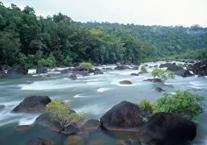 Ted Mead Landscape, Nature And Wildlife Photography Prints: Australia, Queensland, Tully River and rainforest (long exposure)