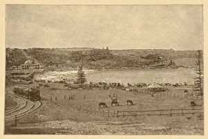 Australia: Randwick near Sydney
