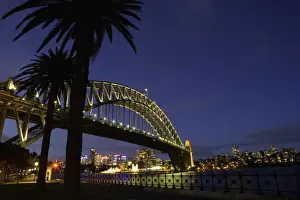 Sydney Harbour Bridge Prints: Australia, Sydney, palm trees in front of Harbour Bridge at night