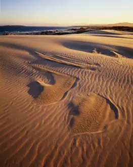 Ted Mead Landscape, Nature And Wildlife Photography Prints: Australia, Tasmania, St. Helens Point, Peron Dunes