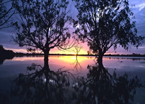 Images Dated 12th March 2007: Australia, Victoria, flooded Hattah Lakes at sunset