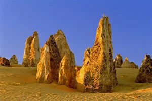 Images Dated 15th October 2014: Australia, Western Australia, Nambung National Park, The Pinnacles