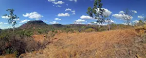 Images Dated 28th July 2018: Australian Bush