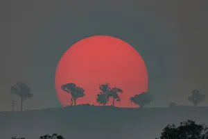 Images Dated 2020: Australian bushfire sunset