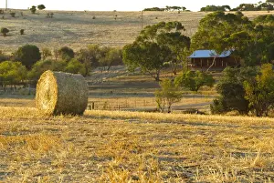 Australian country-side