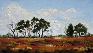 Judi Parkinson Artworks Collection: Australian Landscape Oil Painting