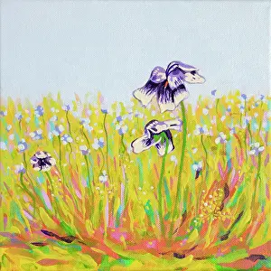 Judi Parkinson Prints: Australian native Viola growing wildly in a garden lawn. Original acrylic painting
