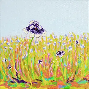 Judi Parkinson Prints: Australian native Viola growing wildly in a garden lawn. Original acrylic painting
