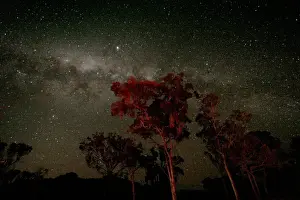 Country NSW Prints: Australian Night