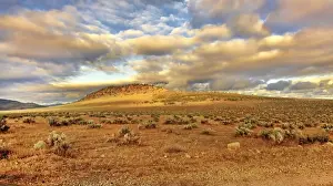 Tropical Climate Prints: Australian outback