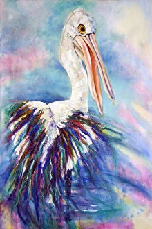Art Collection: Australian Pelican Painting