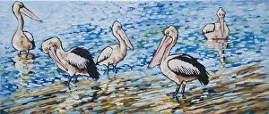 Art Collection: Australian Pelicans in Morning Sunshine Painting