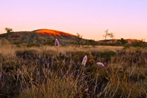 Australian sunset in the Pilbara region of Western Australia