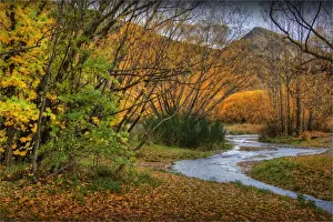 Arrowtown Prints: Autumn in Arrowtown