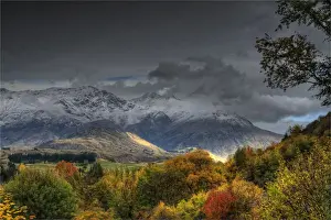 Arrowtown Prints: Autumn in Arrowtown