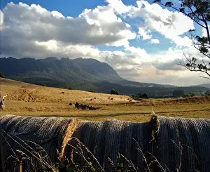 Autumn in Australia