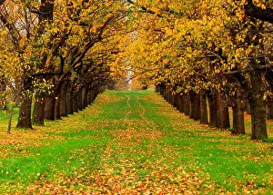Autumn in Australia