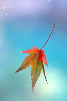 Autumn in Australia