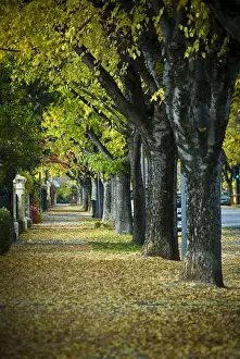 Autumn in Australia