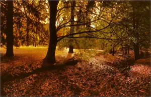 Autumn in Buchan, East Gippsland, Victoria, Australia