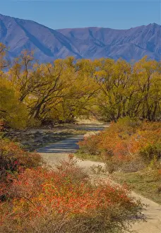 Autumn at the clay cliffs, Omarama, south Island of New Zealand