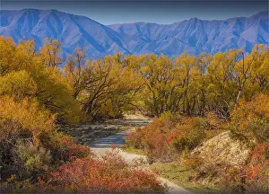Autumn at the clay cliffs, Omarama, south Island of New Zealand