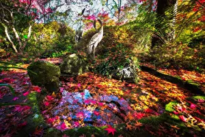 Autumn colour