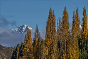 Autumn colours