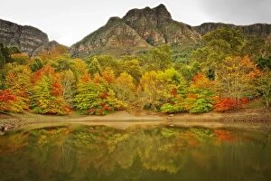 Images Dated 25th April 2012: Autumn Colours, Cape Town, South Africa