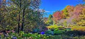 Ian Rolfe's Southern Lightscapes Prints: Autumn colours in the Dandenong Ranges National Park, Victoria, Australia