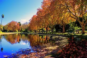 Autumn Colours at Hyde Park - Western Australia