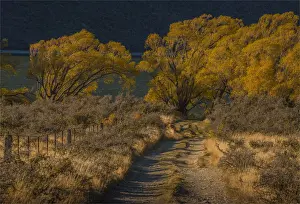 Autumn colours at Lake Pearson, South Island of New Zealand