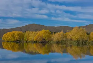 Images Dated 27th April 2016: Autumn colours on lake Twizel, south island, New Zealand