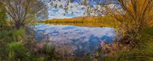 Autumn colours on lake Twizel, south island, New Zealand